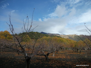 lto del Cane18-11-2012 10-04-38